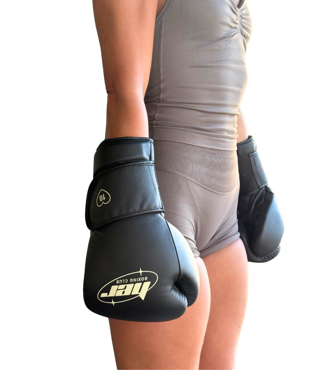 Premium Boxing Gloves V3