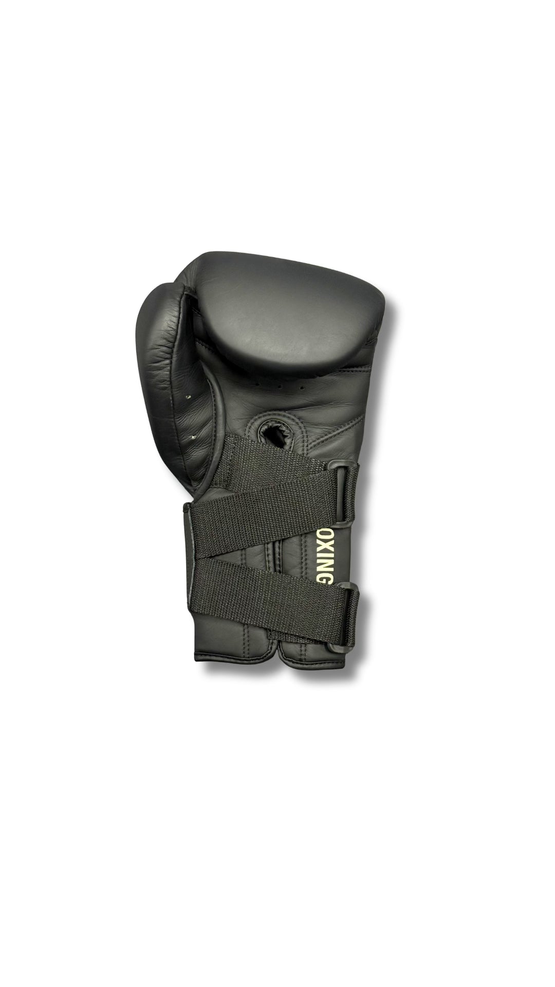 Premium Boxing Gloves V3