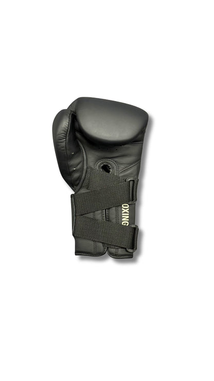 Premium Boxing Gloves V3