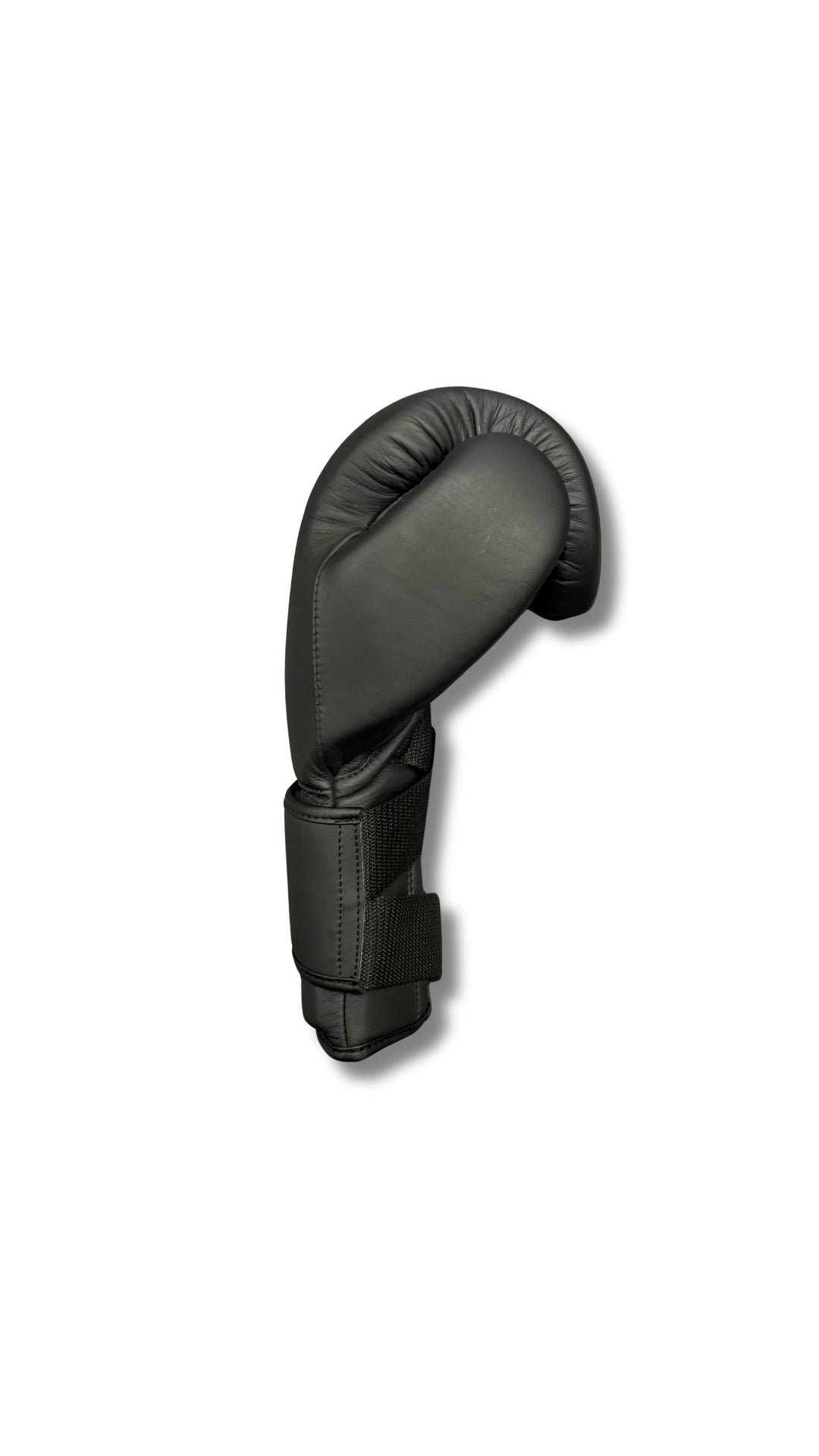 Premium Boxing Gloves V3