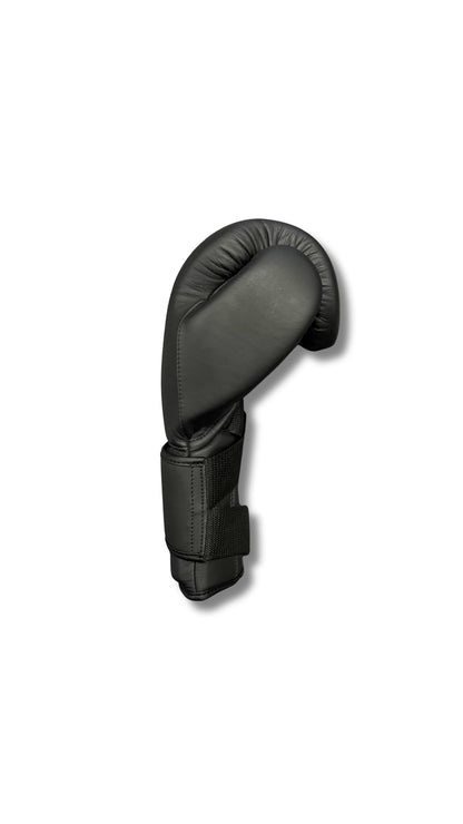 Premium Boxing Gloves V3